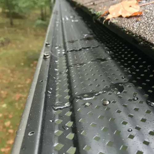 Gutter Guard